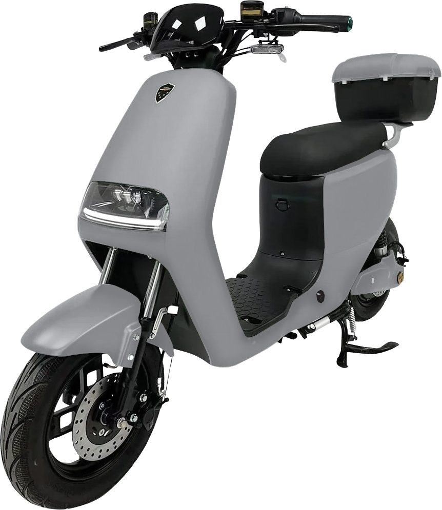 Forza City Go X3 Elektroroller 1 E Roller In Der Schweiz
